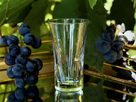 Kpl. kieliszków do wódki 45 ml (6 szt.) Krosno - Mixology 44.5909-0045