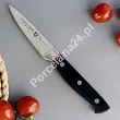 Komplet noży (5 el.) w bloku ZWIEGER - Klassiker