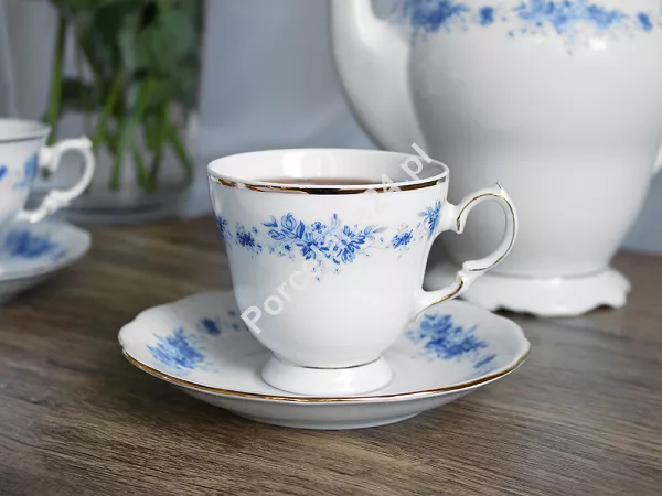 Filiżanka ze spodkiem 0,17 L / 14 cm Ćmielów - Alaska Hellen G540 GIFT BOX Filiżanka ze spodkiem 0,17 L / 14 cm Ćmielów - Alaska Hellen G540 GIFT BOX