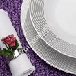 Serwis obiadowo - herbaciany na 12 osób (86 el) Chodzież - Yvonne E520 LINEA PLATYNOWA